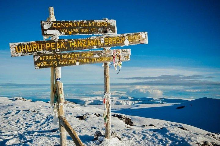 Mt. Kilimanjaro Trekking; Northern Circuit Route - 9 Days