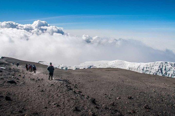 Mt Kilimanjaro 360° Trek with Once-in-a-Lifetime Crater Camping