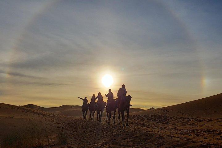9 Days Southern Oasis, Kasbahs & Desert Morocco Cultural Tour from Marrakech