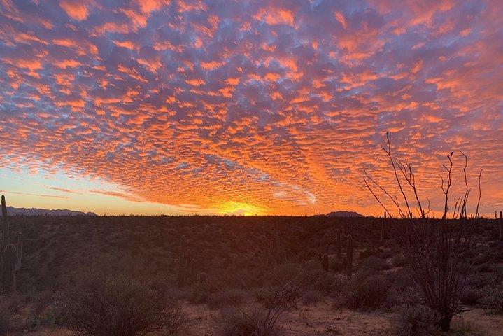 Sonoran Desert Jeep Tour at Sunset