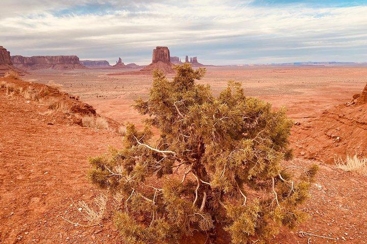 Monument Valley Backcountry Tour