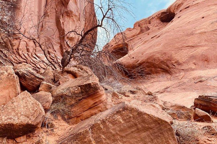 Monument Valley Backcountry Tour