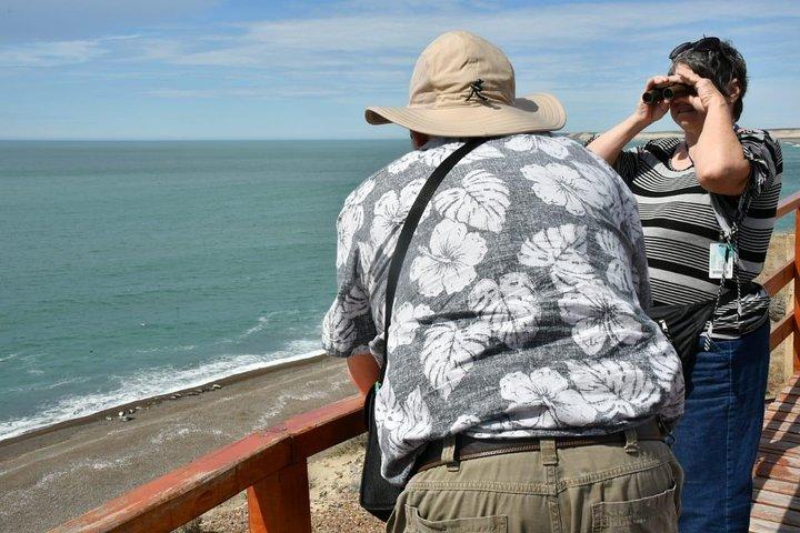 The Best of Peninsula Valdés in one day