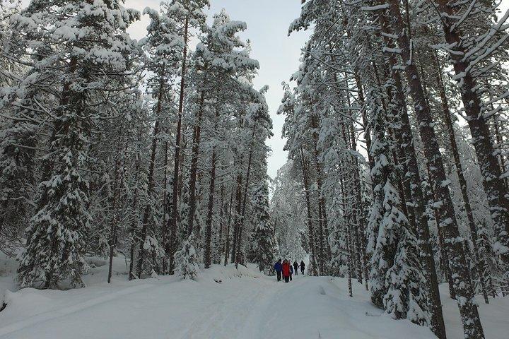 Korouoma national park and frozen waterfalls hiking tour