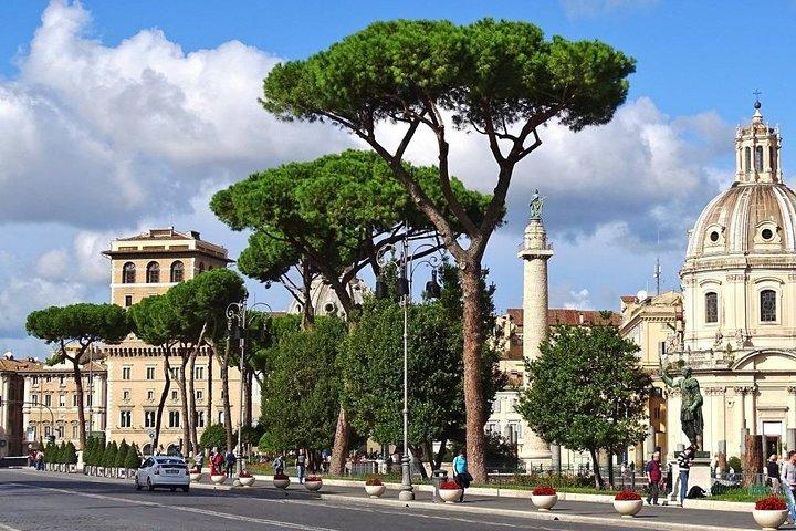 Rome FCO Airport to Civitavecchia Port with private City Tour