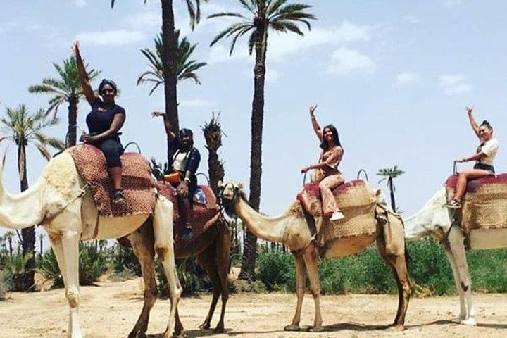 Marrakech: Agafay Desert Quad bike & Camel Ride with Dinner Show
