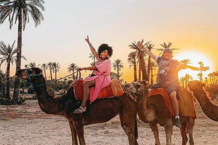 Marrakech: Agafay Desert Quad bike & Camel Ride with Dinner Show