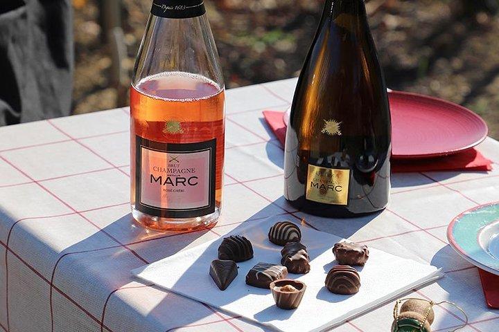 A unique sensory experience in the vineyards
