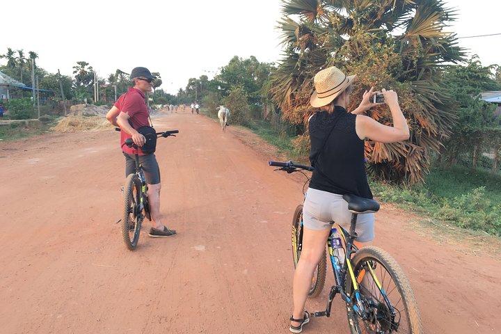 Half Day Countryside Cycling Tour, Siem Reap Private Tours