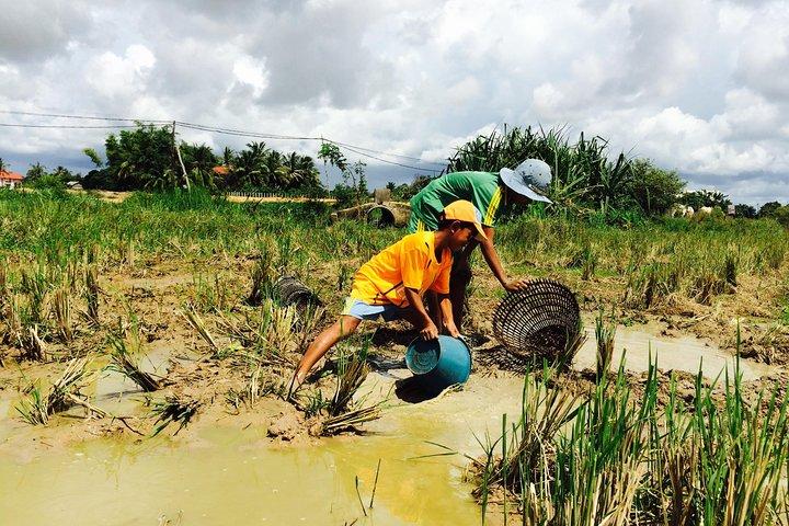 Half Day Countryside Cycling Tour, Siem Reap Private Tours
