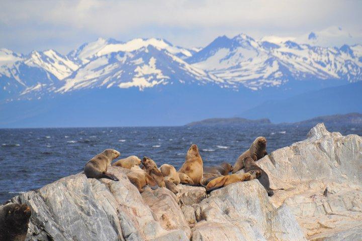 Navigation in the Beagle Channel with minitrekking USHUAIA
