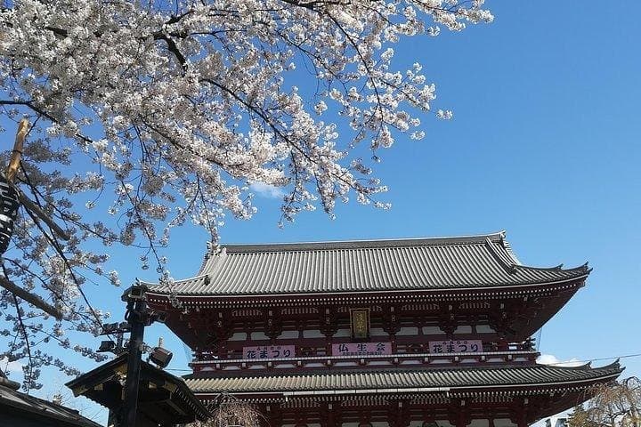 Cherry Blossom Highlights, Asakusa, Ueno, Imperial Palace Garden