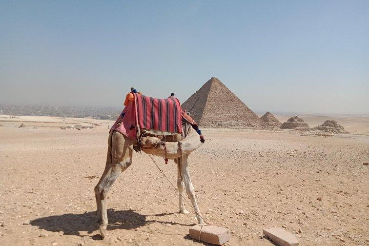 Giza Pyramids, Valley Temple and Sphinx Private Tour