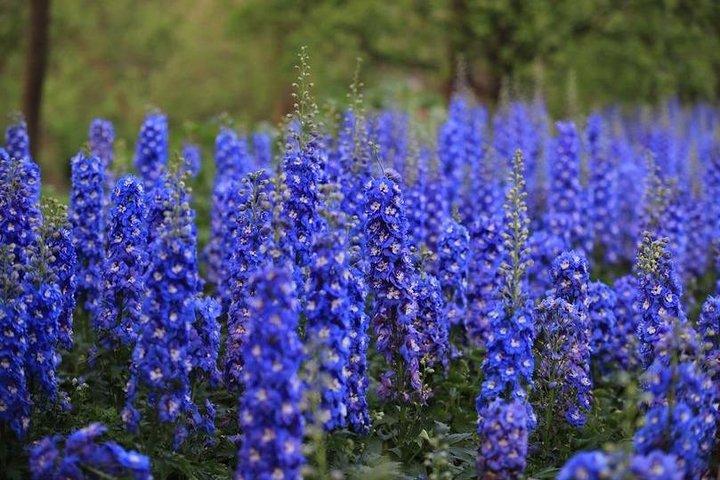 A Depth-Tour to Explore Xixi Wetland Park in Hangzhou