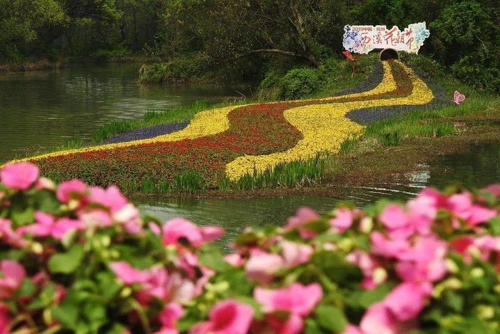 A Depth-Tour to Explore Xixi Wetland Park in Hangzhou