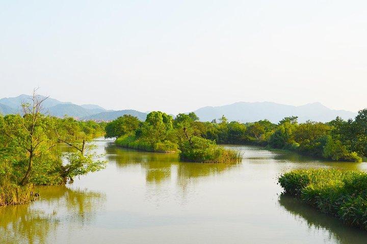 A Depth-Tour to Explore Xixi Wetland Park in Hangzhou