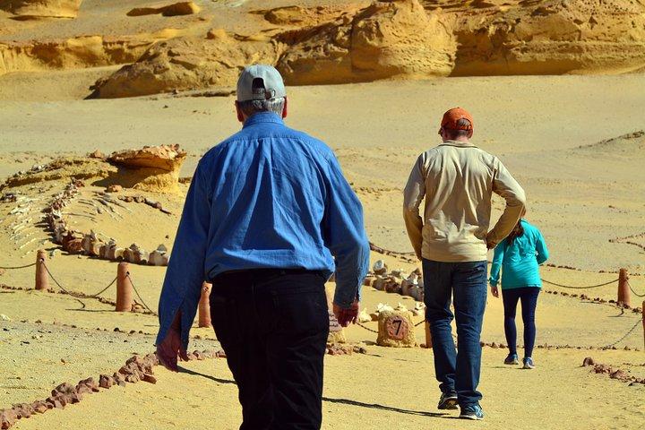 Full-Day Fayoum Oasis Private Tour from Cairo or Giza