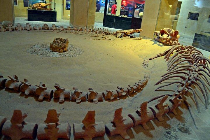 Full-Day Fayoum Oasis Private Tour from Cairo or Giza