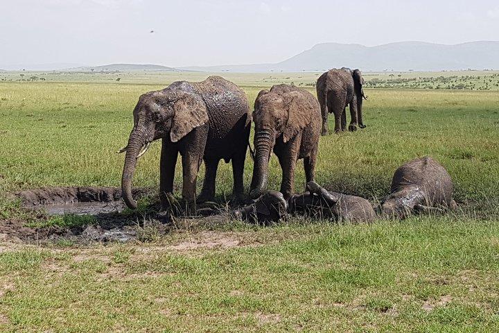 3 Days Best Of Kenya