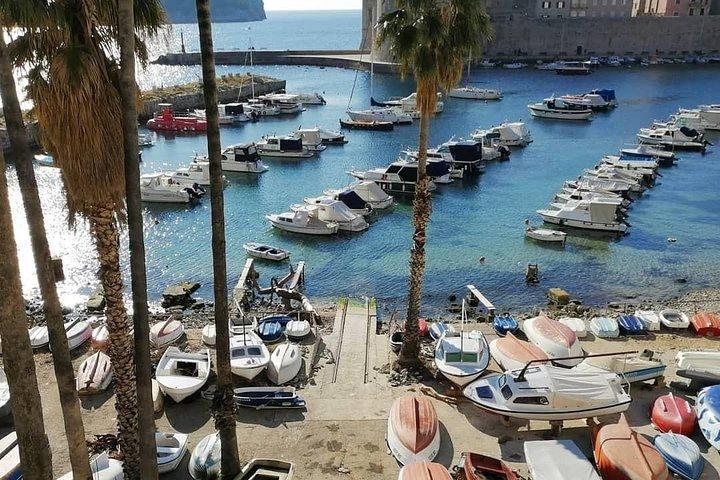 Guided Tour to discover Dubrovnik's Old Town, by day or night