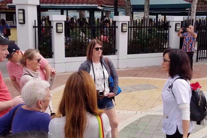 Private South Beach, Wynwood Arts District and Little Havana Tour