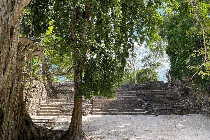 Ancient Chacchoben Mayan Ruins Tour from Costa Maya