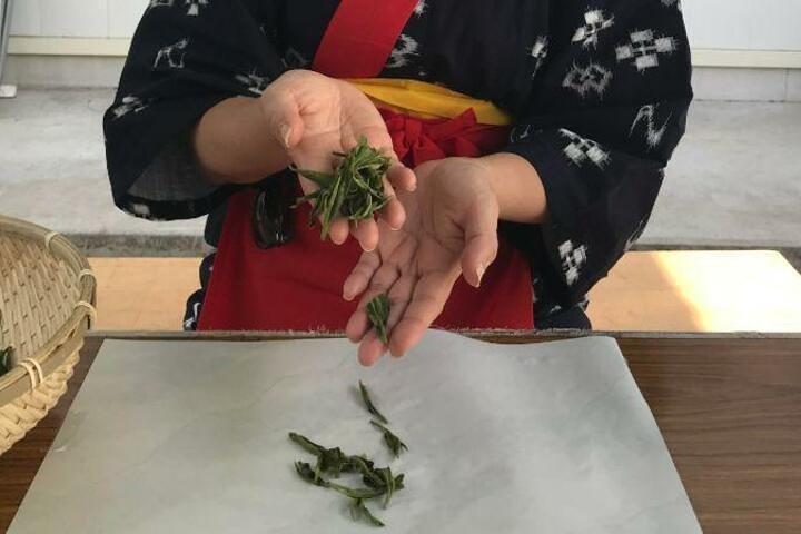Tea Farm Tour in Sayama, Saitama