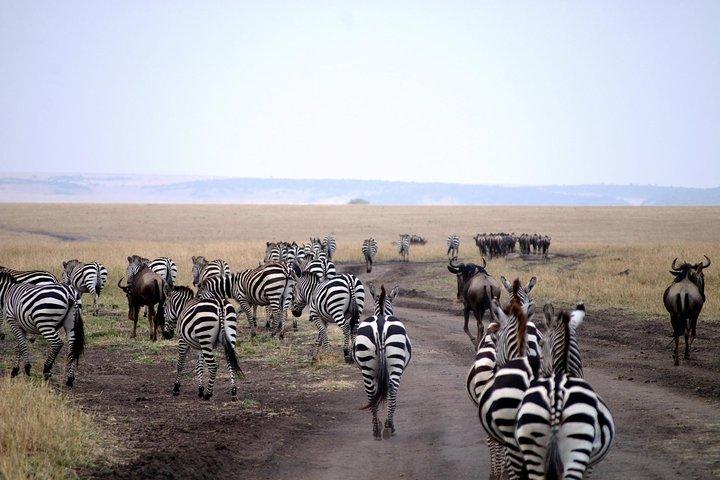 5 Days Mara, Nakuru, Sweetwaters