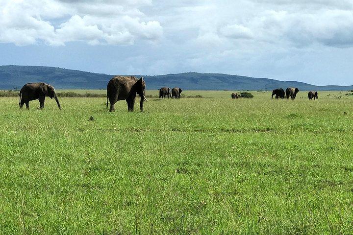 5 Days Mara, Nakuru, Sweetwaters