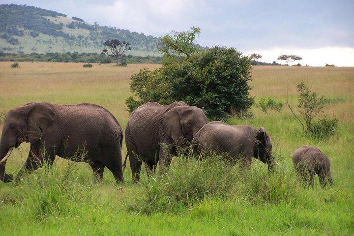 5 Days Mara, Nakuru, Sweetwaters