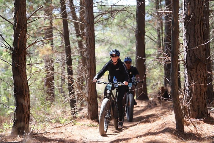 From Cape Town: Full Day Electric Bike Winelands Tour & Lunch