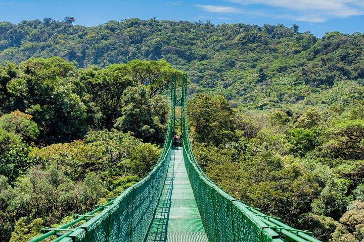 Selvatura Park Hanging Bridge Tour in Monteverde