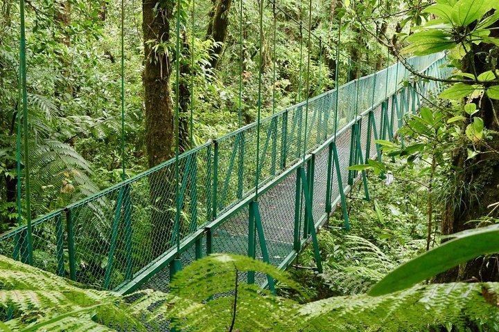 Selvatura Park Hanging Bridge Tour in Monteverde