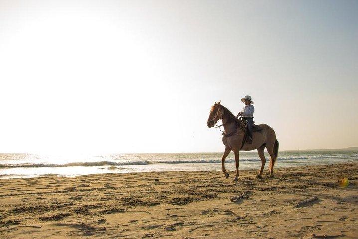 Horseback Riding on the beach with Colombian Paso Show, Cartagena