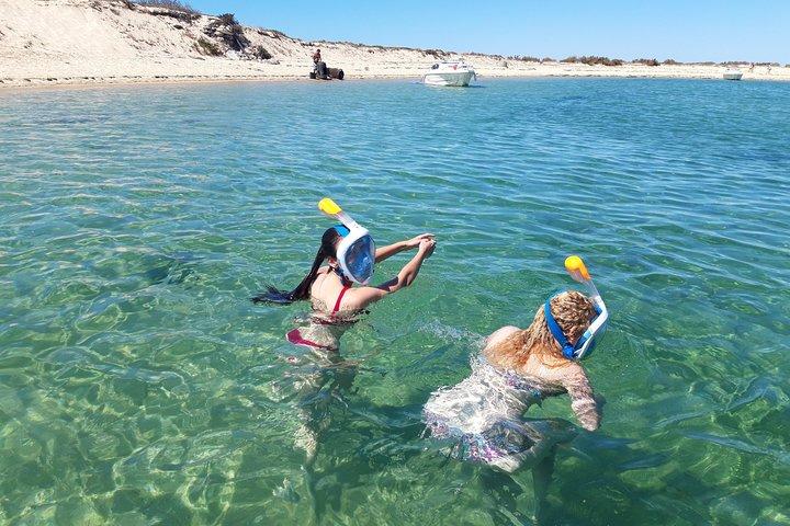 Faro - Ria Formosa tour with visit to 2 islands (Deserta, Farol) 3.5 hours