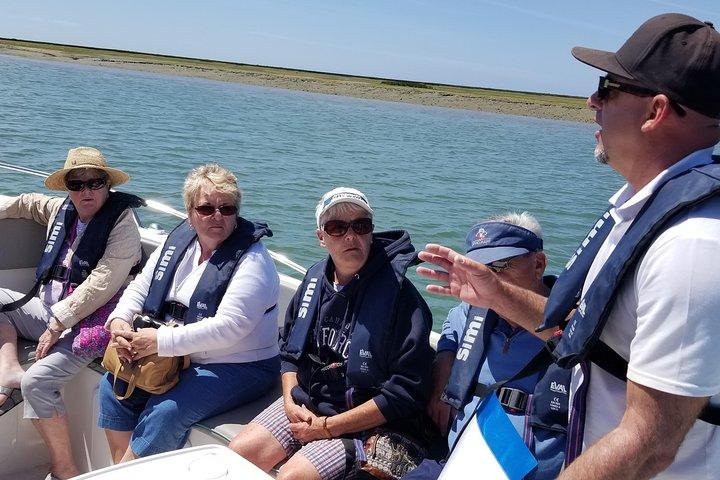 Faro - Ria Formosa tour with visit to 2 islands (Deserta, Farol) 3.5 hours