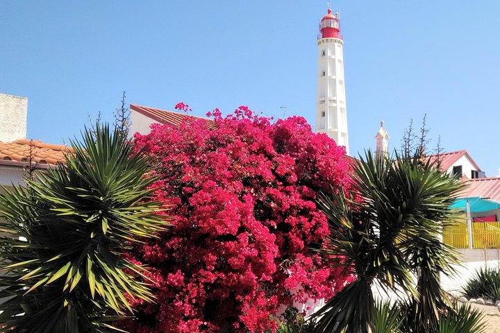 Faro - Ria Formosa tour with visit to 2 islands (Deserta, Farol) 3.5 hours