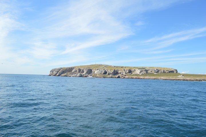 Marietas Island Catamaran Tour with Snorkeling, Open Bar & Kayaks