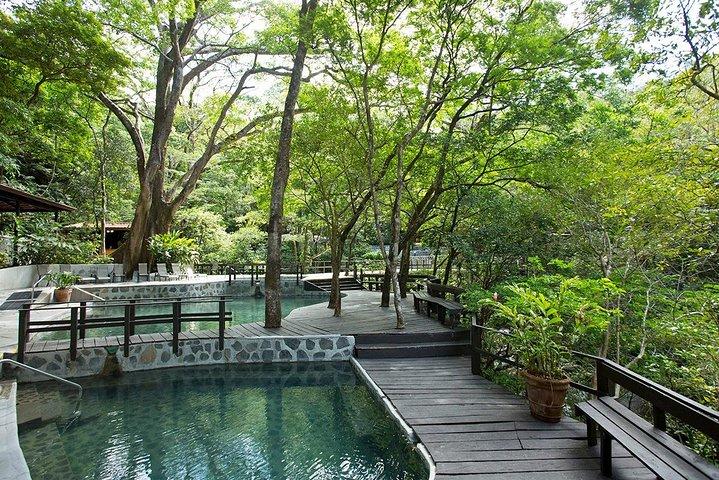 Buena Vista Combo Tour: Ziplining and Hot Springs from Guanacaste