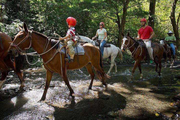Buena Vista Combo Tour: Ziplining and Hot Springs from Guanacaste