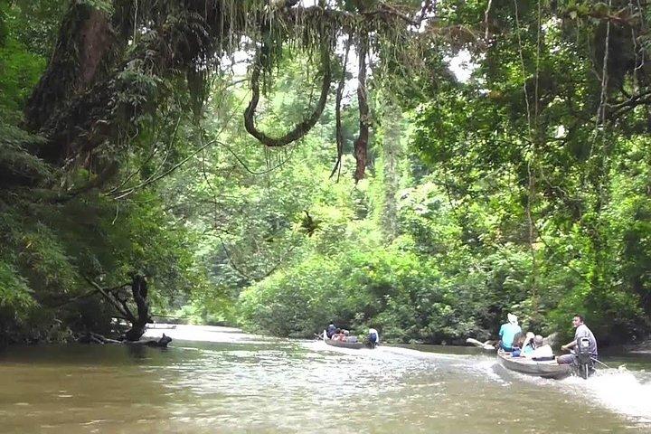 Private Transfer: Kuala Lumpur to Taman Negara National Park (Kuala Tahan Jetty)