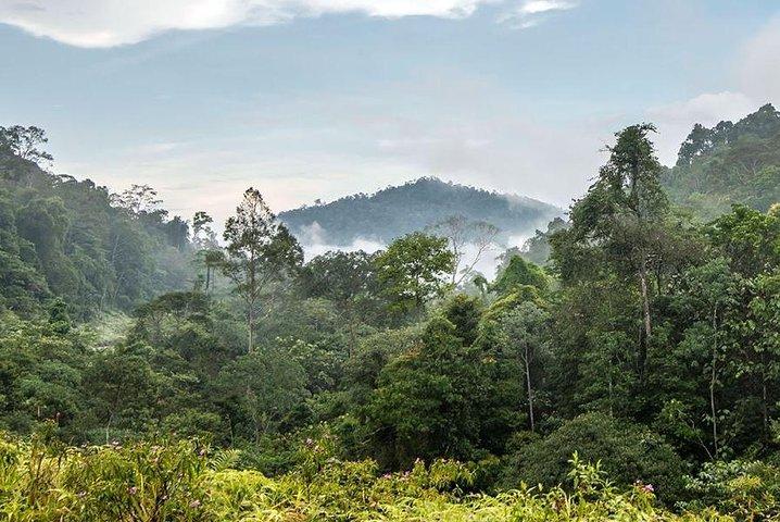 Private Transfer: Kuala Lumpur to Taman Negara National Park (Kuala Tahan Jetty)