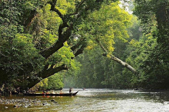 Private Transfer: Kuala Lumpur to Taman Negara National Park (Kuala Tahan Jetty)