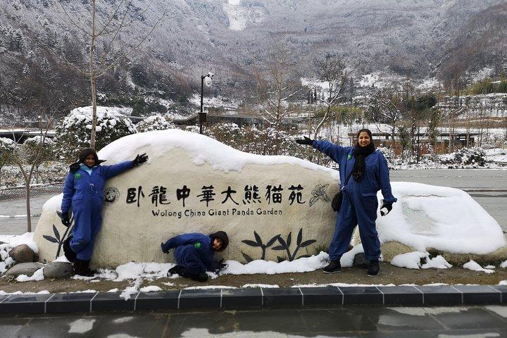 Panda Volunteer expperience in Dujiangyan or Wolong Panda Base