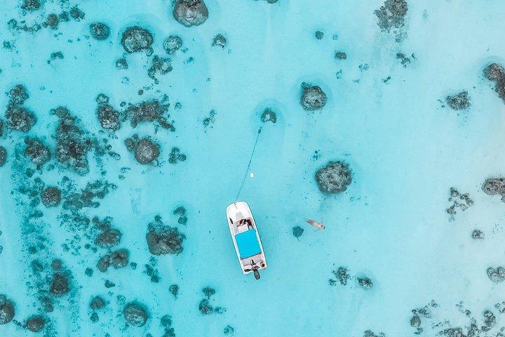 Private Boat Tour of Moorea Lagoon with Underwater Photography