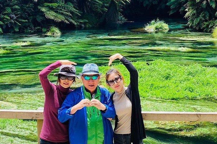 Blue Springs, Redwood Forest, Waiotapu Geothermal Park day Tour