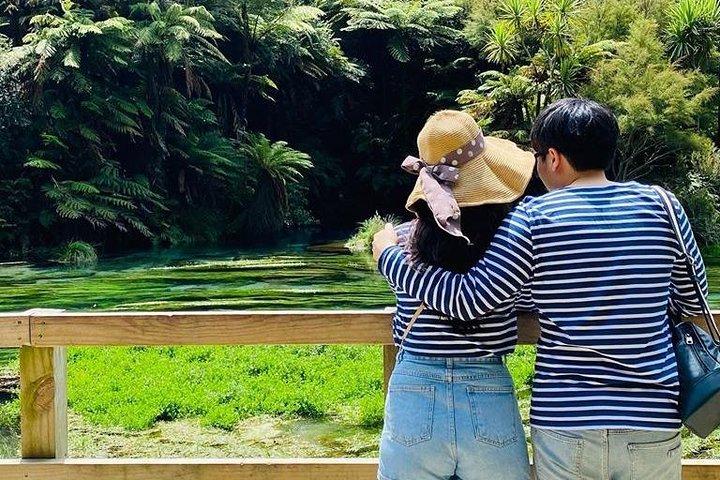 Blue Springs, Redwood Forest, Waiotapu Geothermal Park day Tour
