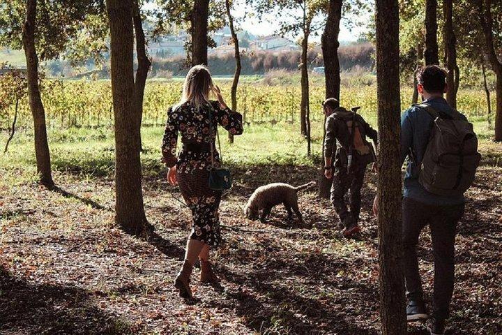 Truffle Hunting in the Tuscany Hills of Florence