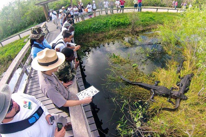 Private 4-hour Tour of Everglades from Miami Dade