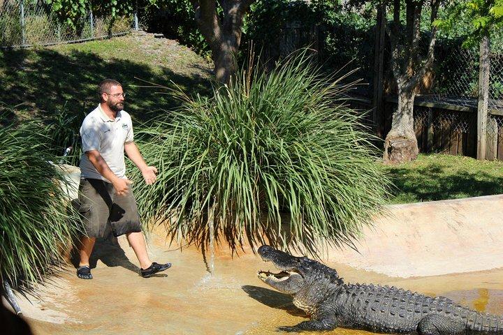 Private 4-hour Tour of Everglades from Miami Dade